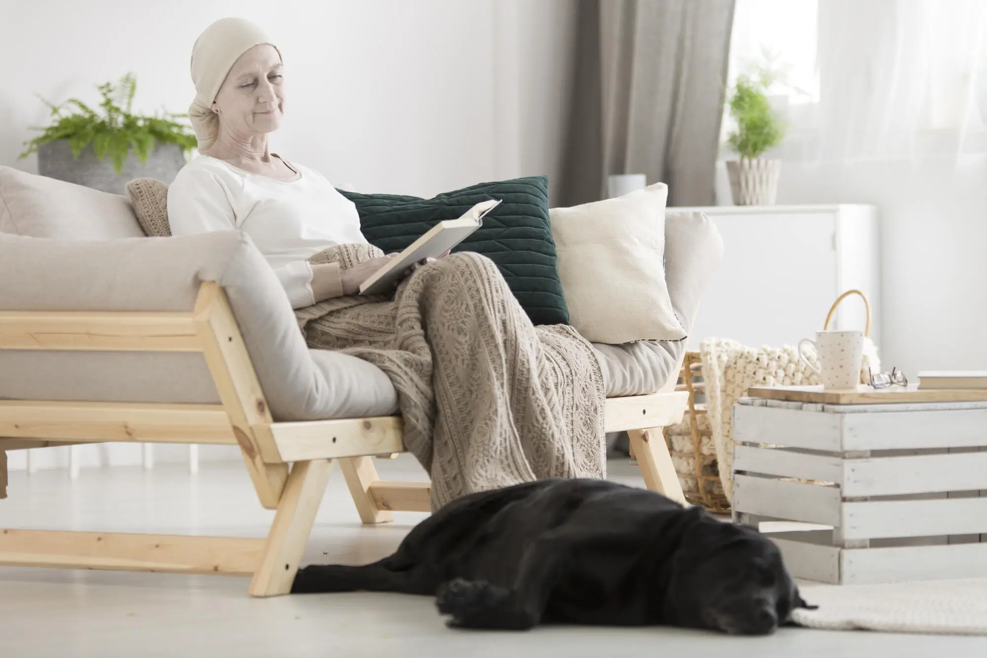 Support Animals and Rental Housing: What Chandler, AZ Landlords Need to Know